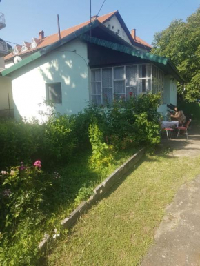 VILA MILA SOKOBANJA